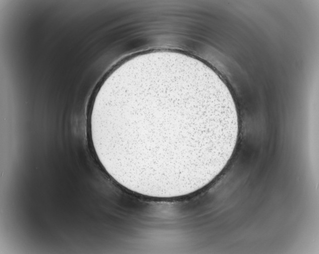 X0000089870836200707051150