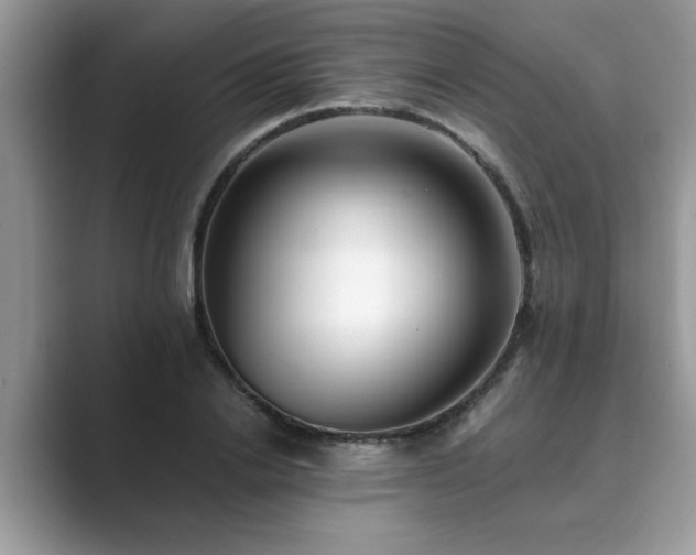 X0000089870838200707051150