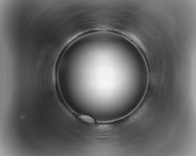 X0000089870839200707051150