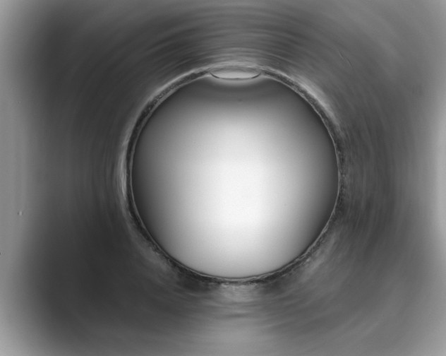 X0000089870840200707051150