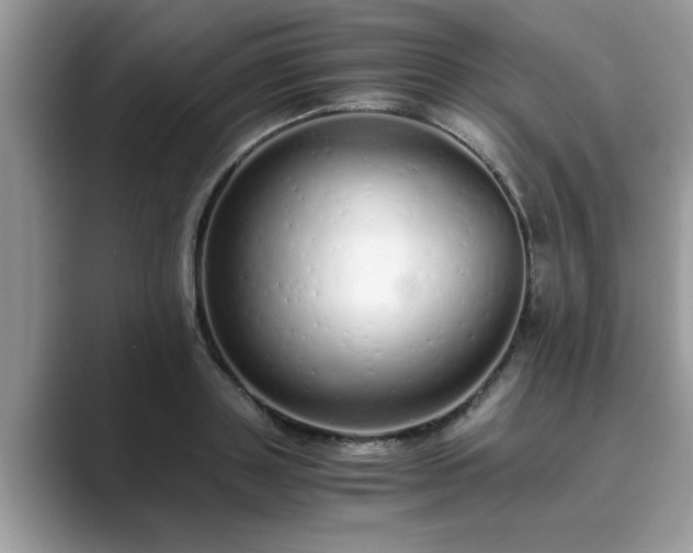 X0000089870843200707051150