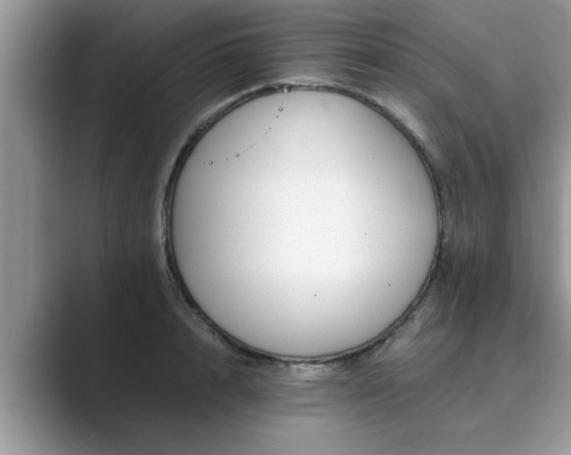 X0000089870848200707051150