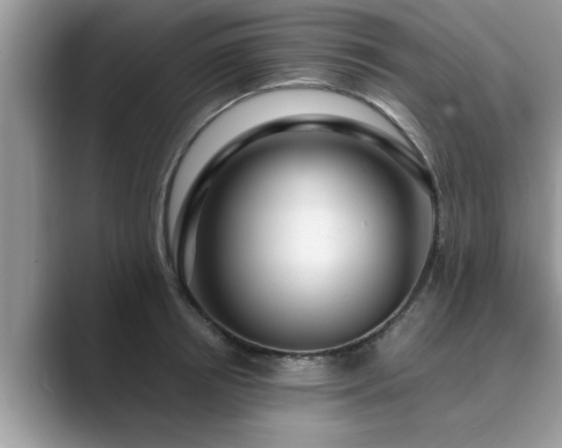 X0000089870850200707051150