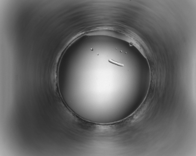 X0000089870852200707051150