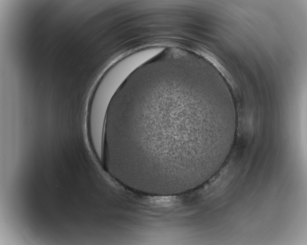 X0000089870853200707051150