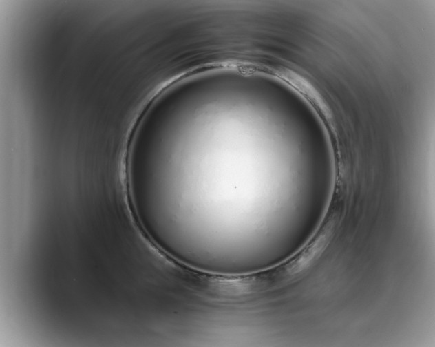 X0000089870855200707051150