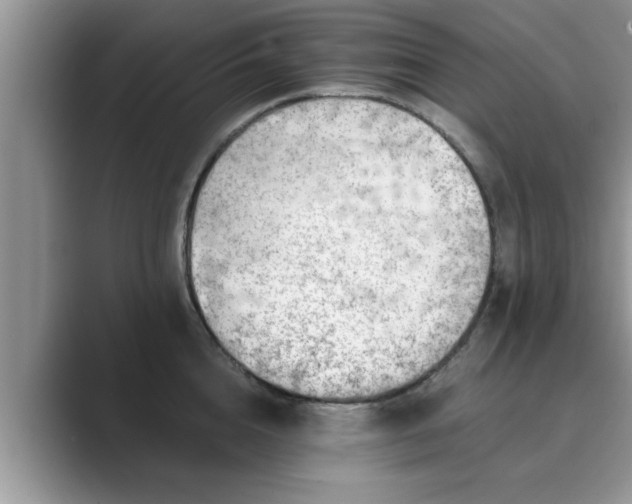 X0000089870856200707051150