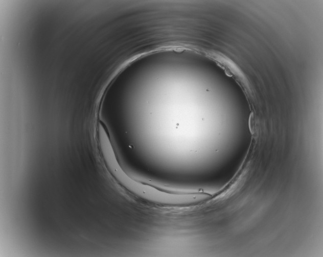 X0000089870860200707051150