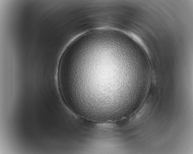 X0000089870863200707051150