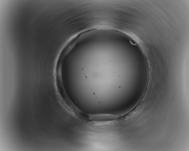 X0000089870864200707051150