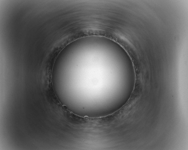 X0000089870870200707051150