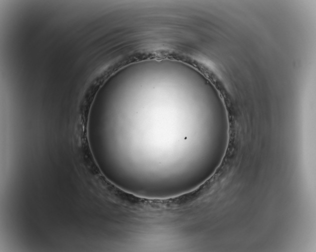 X0000089870871200707051150