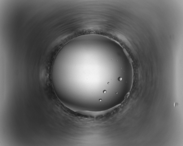 X0000089870872200707051150