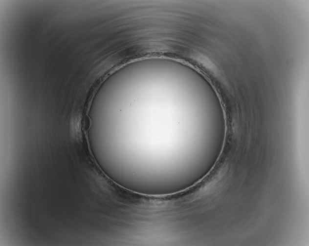 X0000089870873200707051150