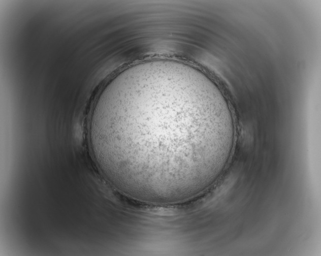 X0000089870874200707051150