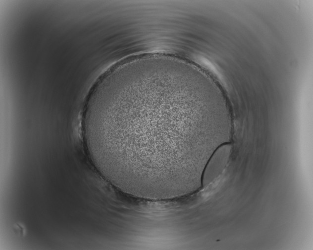 X0000089870875200707051150