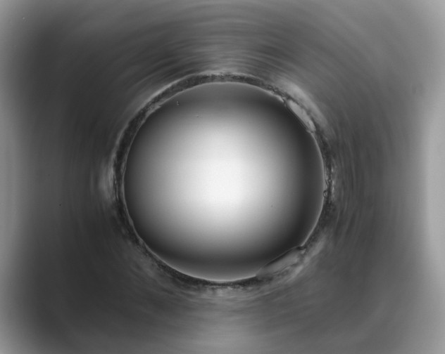 X0000089870876200707051150