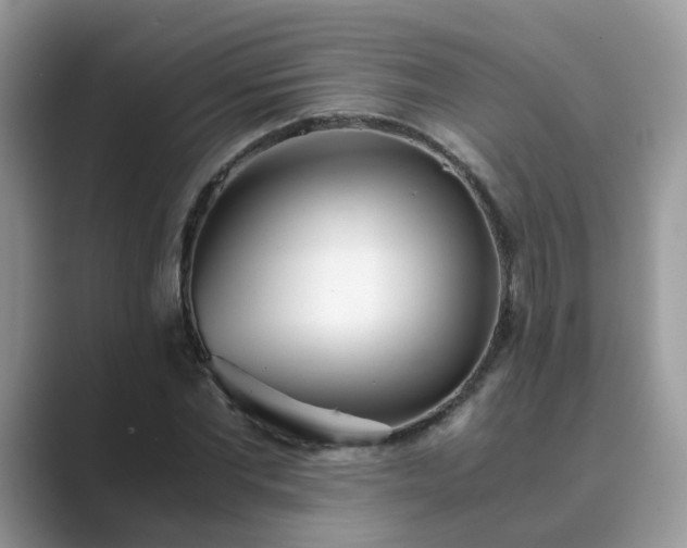 X0000089870877200707051150
