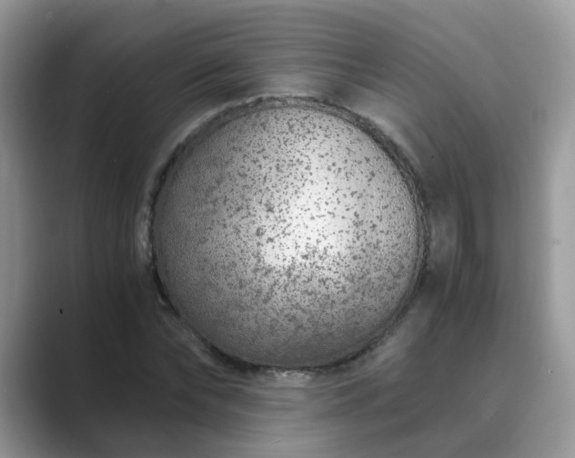 X0000089870878200707051150