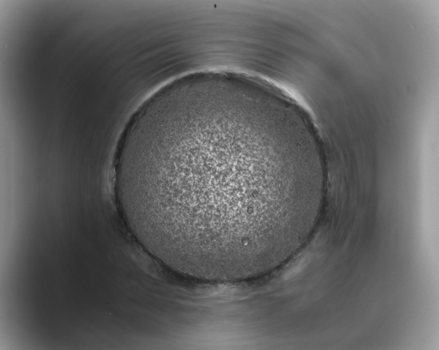 X0000089870879200707051150