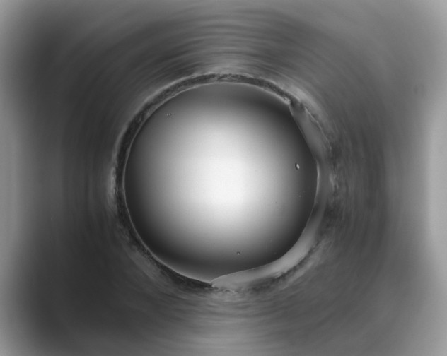 X0000089870880200707051150