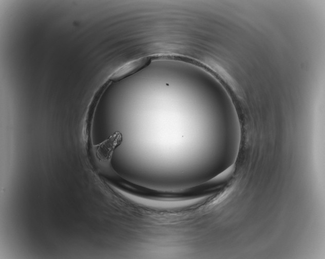X0000089870885200707051150