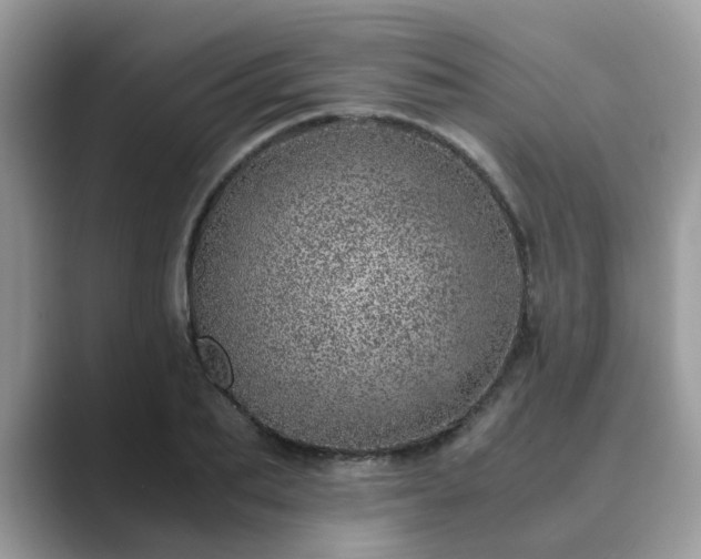 X0000089870887200707051150