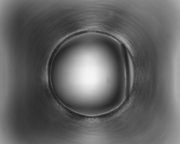 X0000089870888200707051150