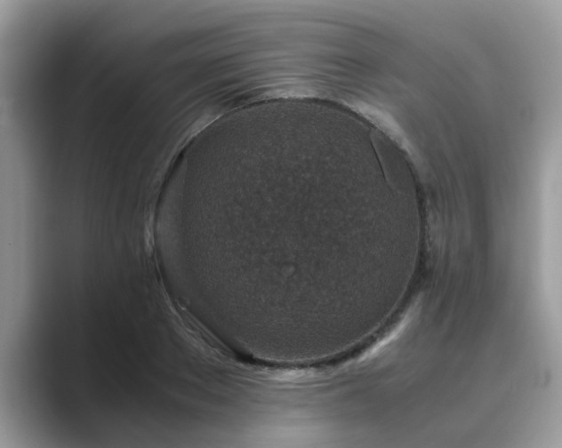 X0000089870889200707051150