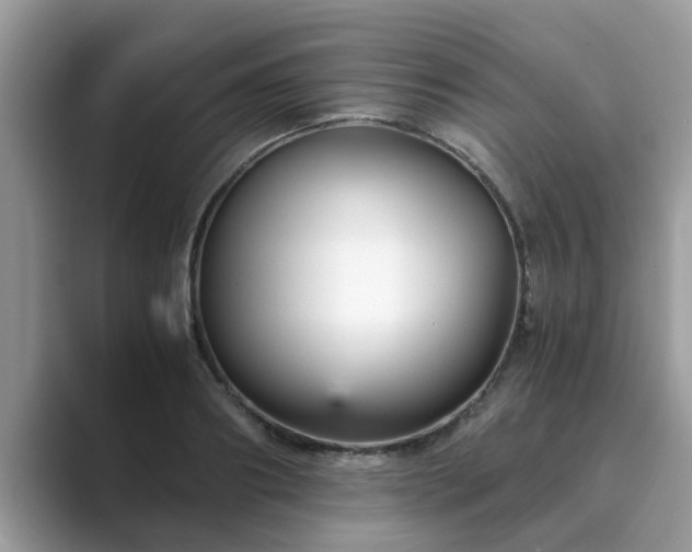 X0000089870890200707051150