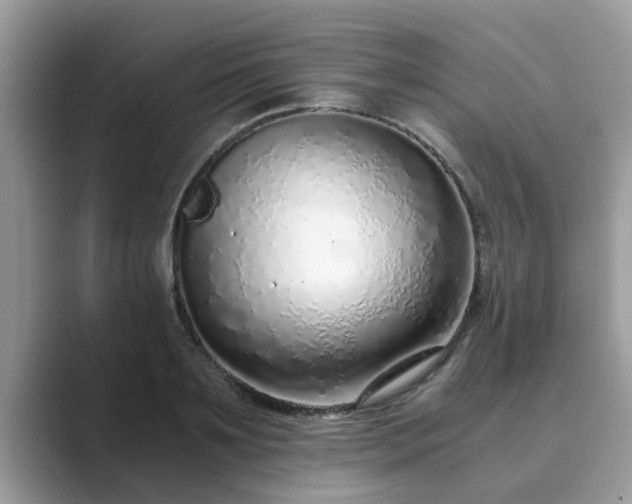 X0000089870891200707051150