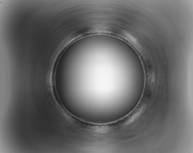 X0000089870893200707051150