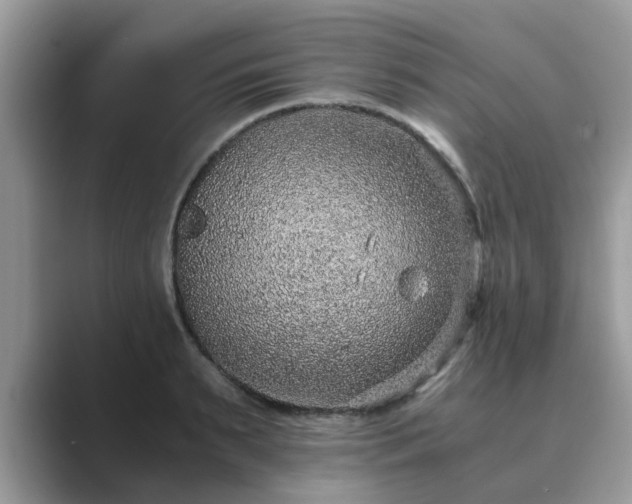 X0000089870895200707051150