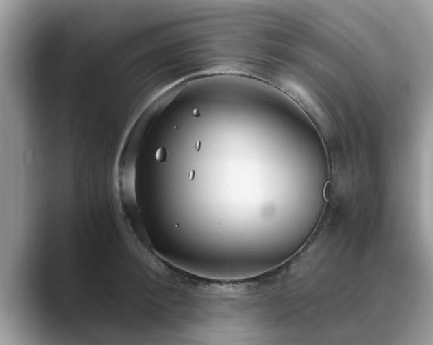 X0000089870900200707051149