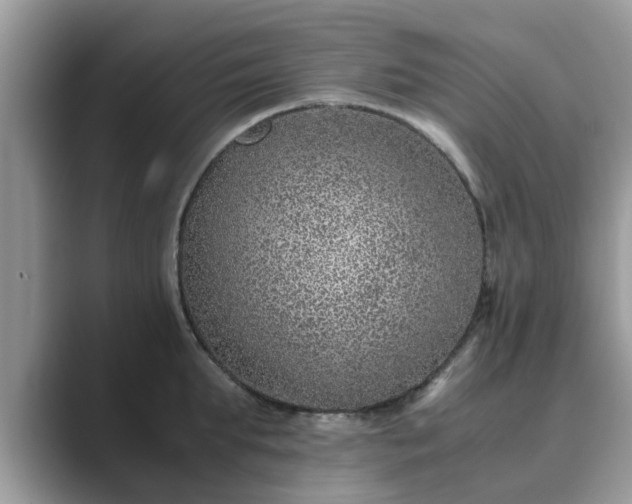 X0000089870903200707051149