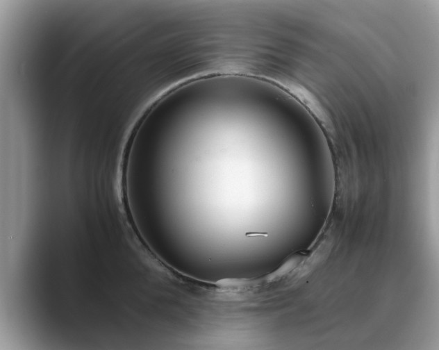 X0000089870904200707051149