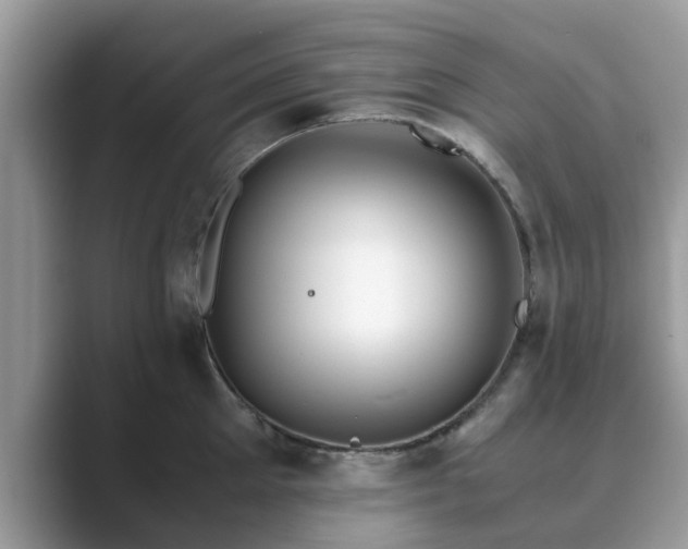 X0000089870905200707051149
