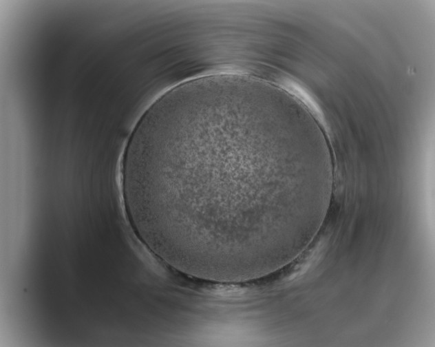 X0000089870907200707051149