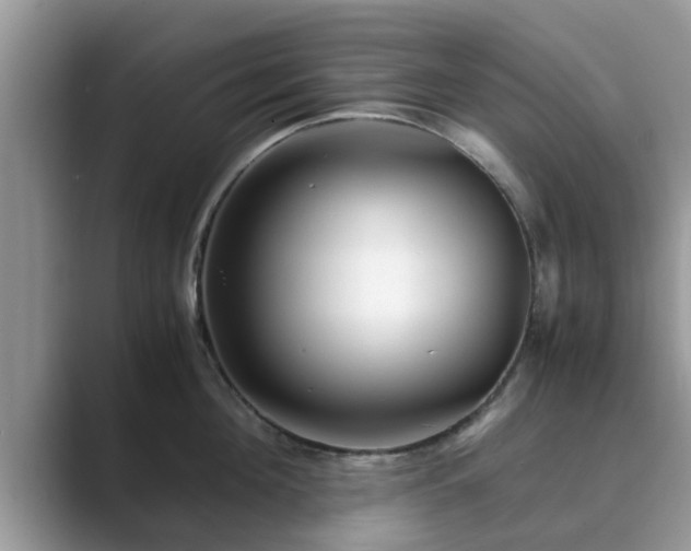 X0000089870908200707051149