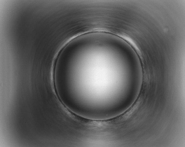 X0000089870910200707051149