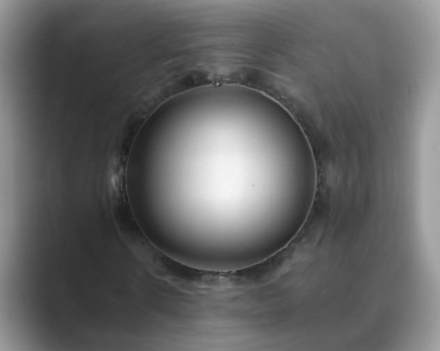 X0000089870914200707051149