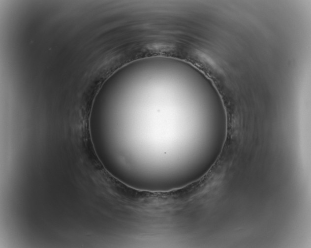 X0000089870917200707051149