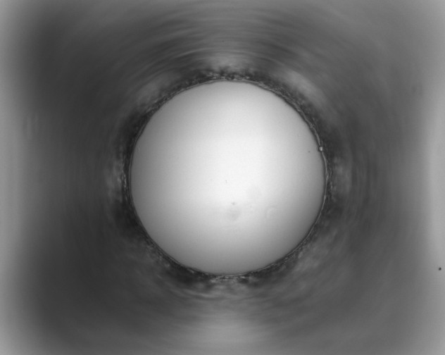 X0000089870918200707051149