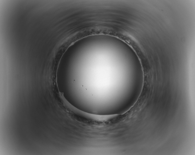 X0000089870919200707051149