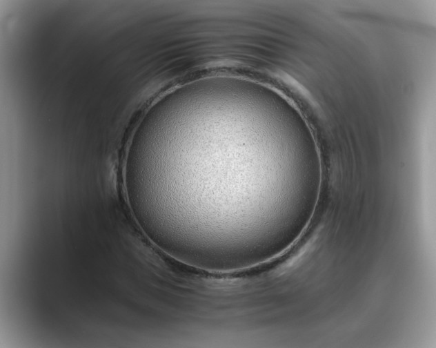 X0000089870921200707051149