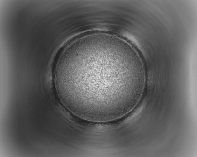 X0000089870923200707051149