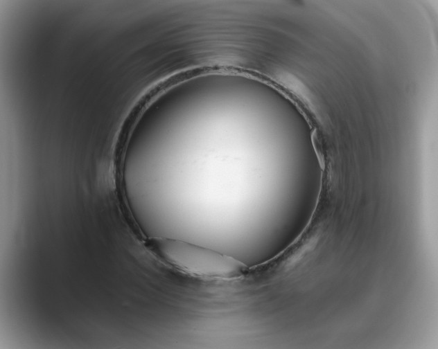 X0000089870924200707051149