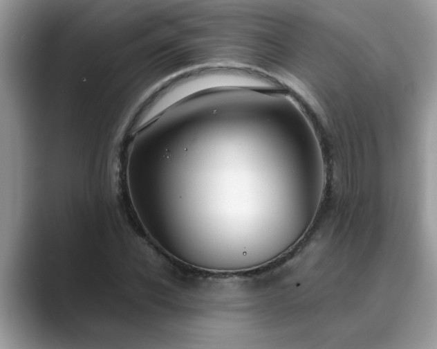X0000089870926200707051149