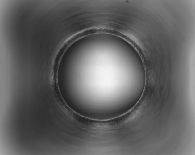 X0000089870927200707051149