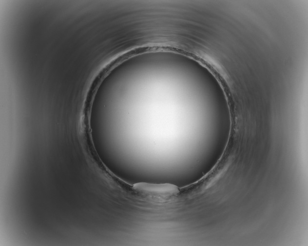 X0000089870928200707051149